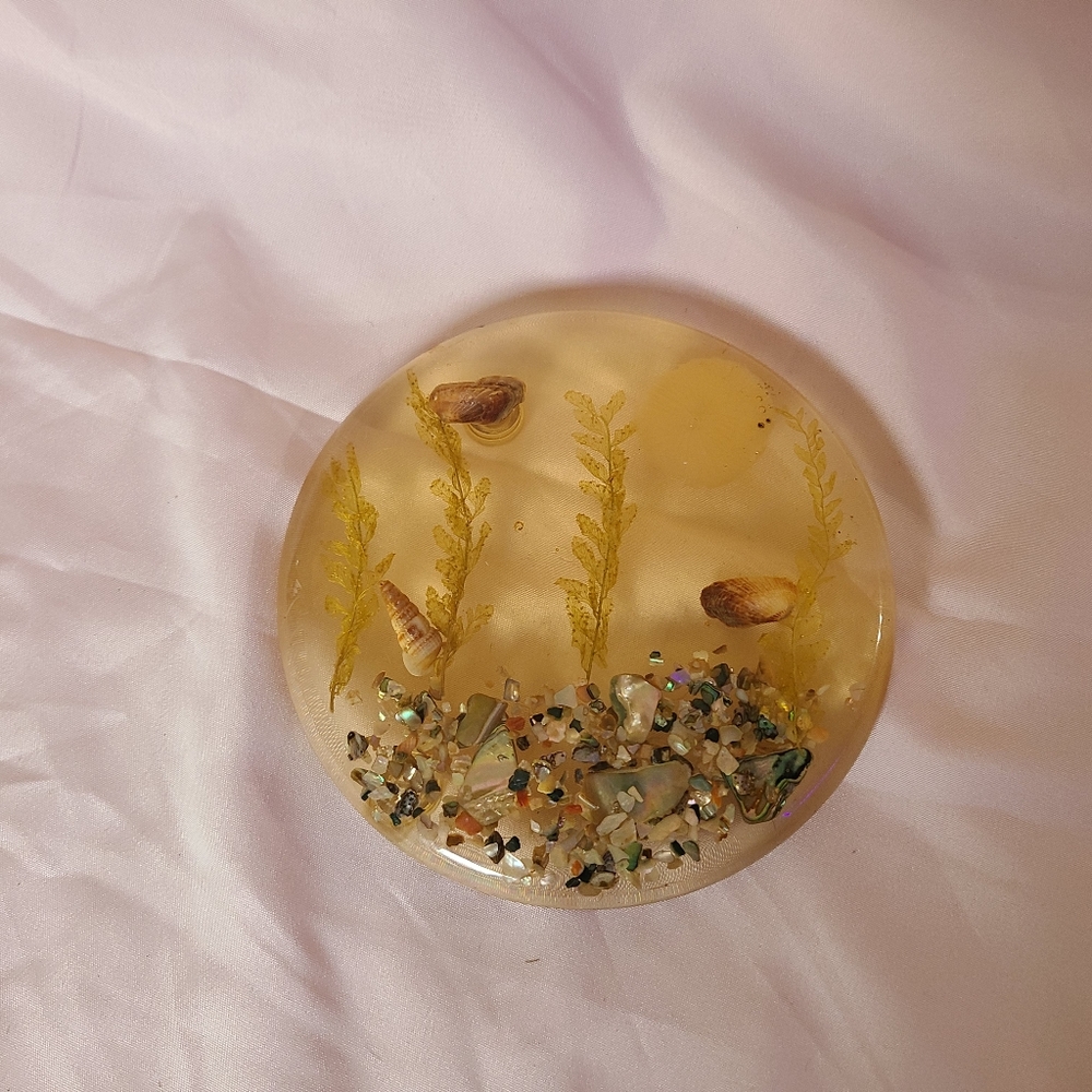 Vintage Lucite Shell Sea Abalone Under Water Scene Trivet Mid-Century Ocean